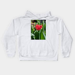 Red Tulip flower with green leaves Kids Hoodie